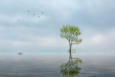 中央財(cái)經(jīng)大學(xué)在職研究生入學(xué)流程 中央財(cái)經(jīng)大學(xué)在職研究生入學(xué)流程