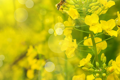 中央財經大學在職研究生 中央財經大學在職研究生