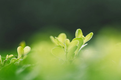 中央財經大學在職研究生學費 中央財經大學在職研究生學費