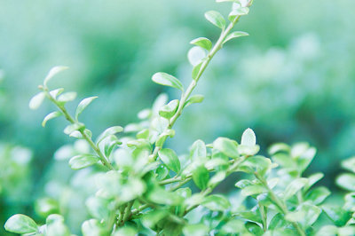 中央財經(jīng)大學(xué)在職研究生報考條件