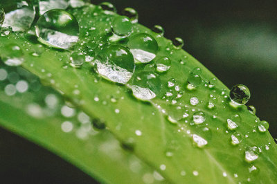 中央財經(jīng)大學(xué)在職研究生 中央財經(jīng)大學(xué)在職研究生