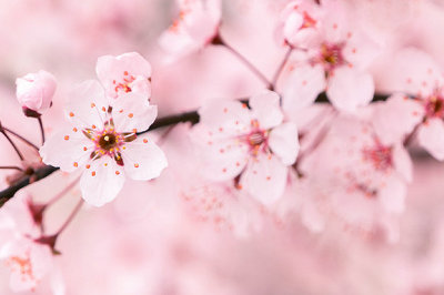 中央財經(jīng)大學(xué)在職研究生學(xué)制 中央財經(jīng)大學(xué)在職研究生學(xué)制