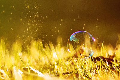 中央財經(jīng)大學(xué)在職研究生申碩考試難度 中央財經(jīng)大學(xué)在職研究生申碩考試難度