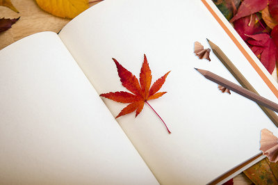 中央財(cái)經(jīng)大學(xué)在職研究生學(xué)費(fèi) 中央財(cái)經(jīng)大學(xué)在職研究生學(xué)費(fèi)