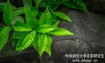 中央財(cái)經(jīng)大學(xué)同等學(xué)力申碩達(dá)到多少分才算通過(guò)考試？