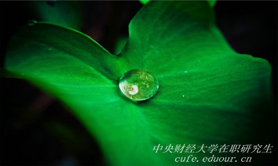 報考中央財經(jīng)大學(xué)在職研究生能升職嗎？