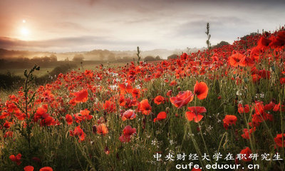 2018年免試入學(xué)的中央財(cái)經(jīng)大學(xué)在職研究生單位認(rèn)可嗎？