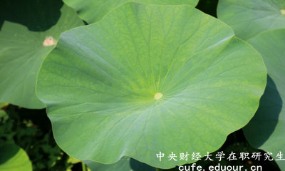 2018年中央財(cái)經(jīng)大學(xué)在職研究生可以獲得雙證嗎？