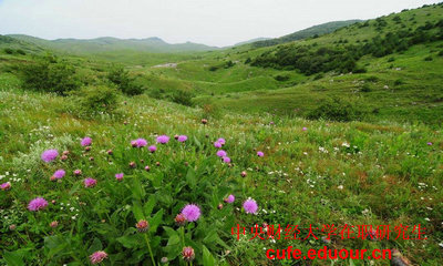 中國(guó)財(cái)經(jīng)大學(xué)在職研究生可以不考試么？